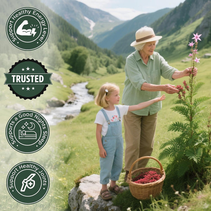 Zentar® Rhodiola Rosea Capsules